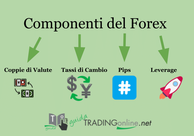 Infografica sulle componenti del Forex